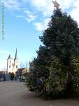 halberstadt14.jpg